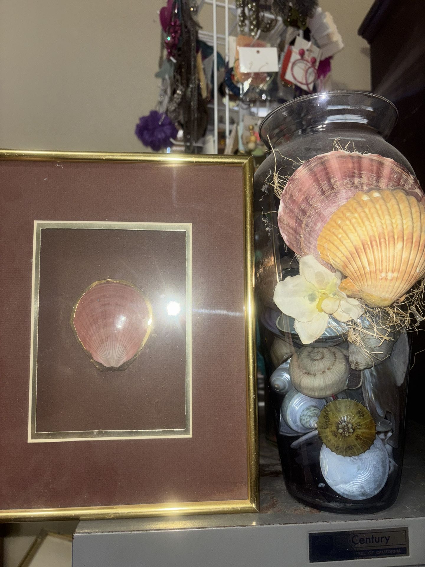 Seashell Decor