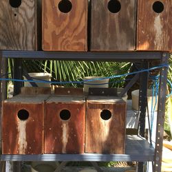 Bird nest boxes