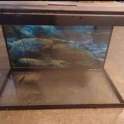 25 Gal Fish Tank