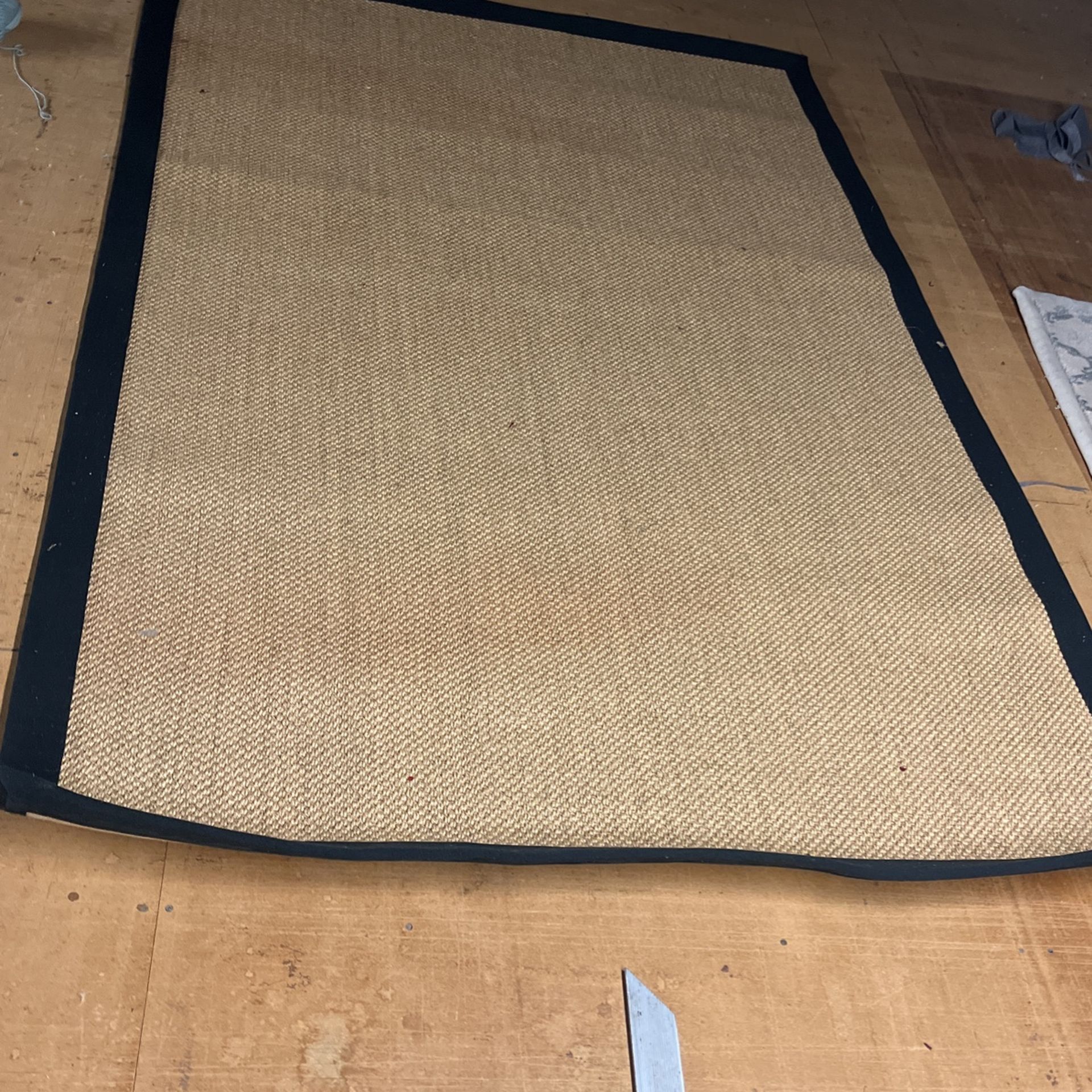 Sisal Area Carpet