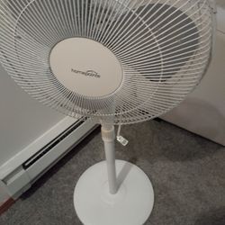 Oscillating Standing Fan 