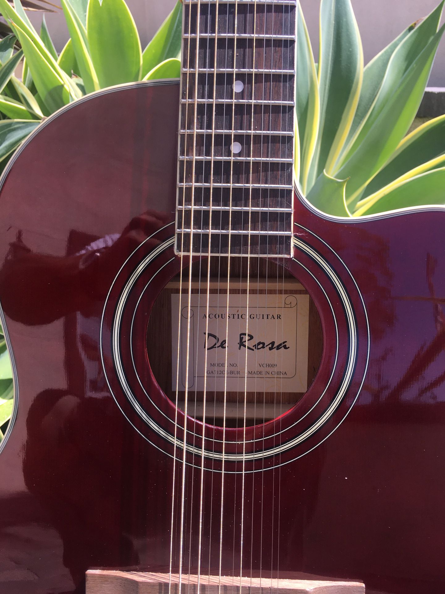 De Rosa 12 string guitar