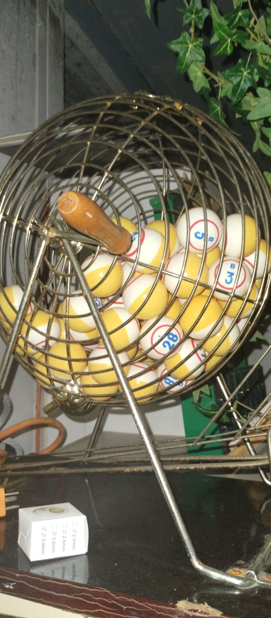Bingo