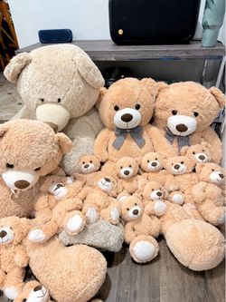 Plush Teddy Bear Set