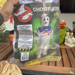 Ghostbuster Kids Costume 