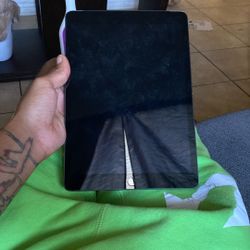 iPad (Locked I Forgot Apple Log In)