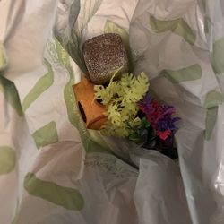 Fish Tank Items 