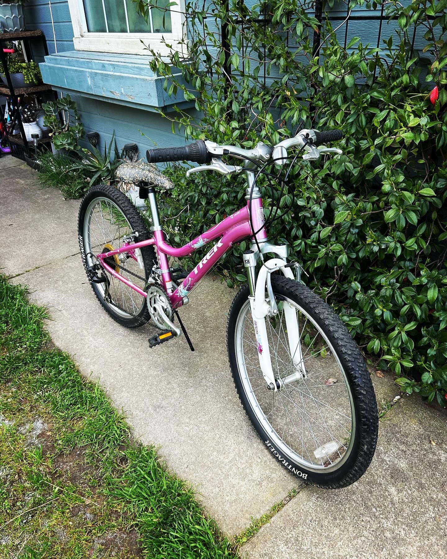 TREK MT220 YOUTH MOUNTAIN BIKE 24” Wheels
