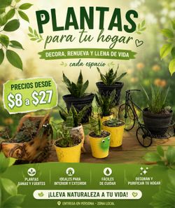 🏡 Las Plantas Perfectas para Tu Hogar Te Están Esperando