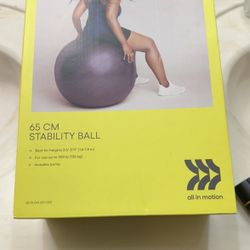 All In Motion 65cm Stability Ball Purple NEW 
