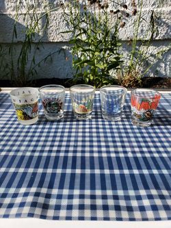5 assorted shot glasses