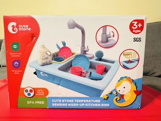 Wash up Kitchen Sink 