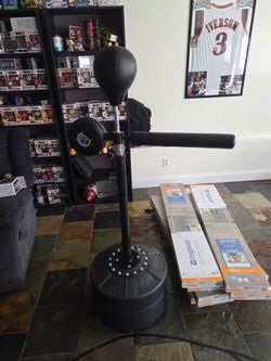 Boxing reflex stick and speed bag