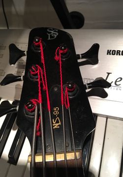 5 string bass guitar