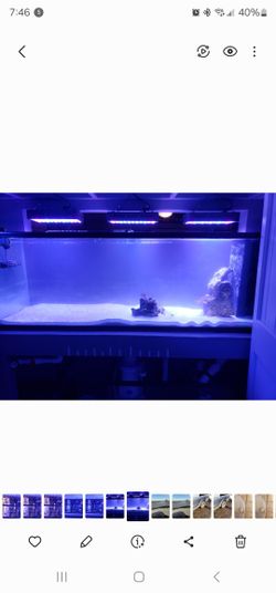 180 Gallon Peninsula Aquarium