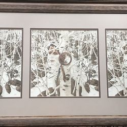 Two More Indian Horses