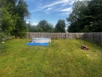 Silverbacks Cutting Edge