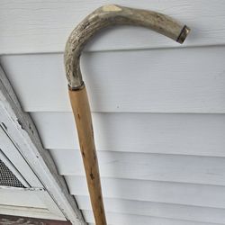 Antique Deer antler walking cane made with Tulipwood shaft