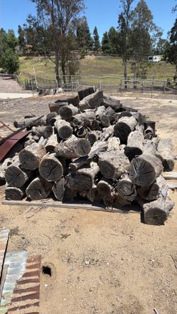 Eucalyptus Firewood 250.00 for the whole pile, all you see eucalyptus fire wood