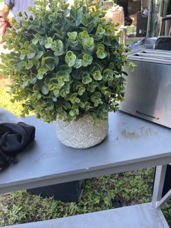 Modern Greenery Decor 