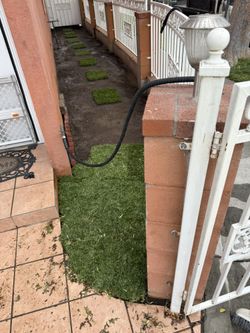 Jardinero