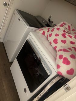 Maytag Front-Load Dryer White