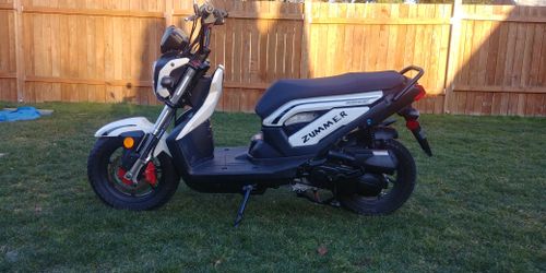 Zummer moped 2024