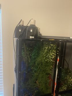 Reptile Cage And Suplies