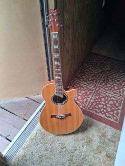 Peal electric aqustic