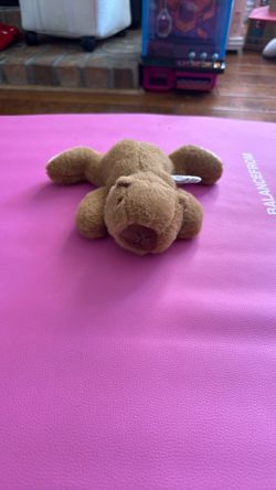 Small Brown Bear Stuffed Animal Plush