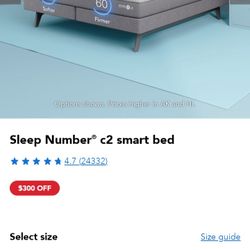 Sleep Number Queen Size Bed