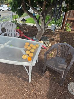 Grapefruits
