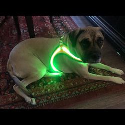 Light Up Dog Harness,Lighted Harness, LED Reflective No Escape Dog Harness with Durable Buckle Rechargeable Dog Lights for Night Walking,with Double T
