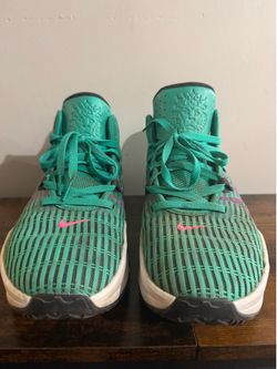 Nike LeBrons size 12