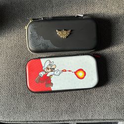 Nintendo Switch Case 