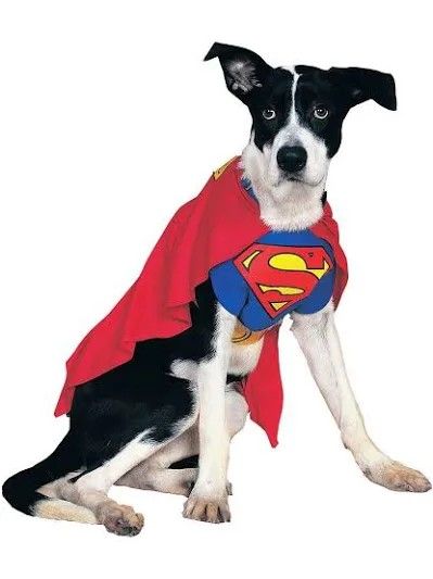 Rubie's Pet Shop Superman Costume for Dogs, Large-Size 18-20"