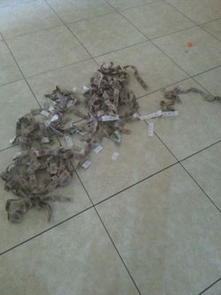 johns incredible and chuckee cheese tickets