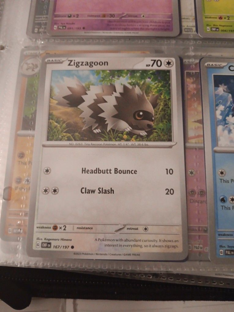 zigagoon