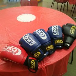 Kickboxing Gloves