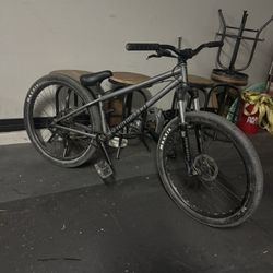 dirt jumper 