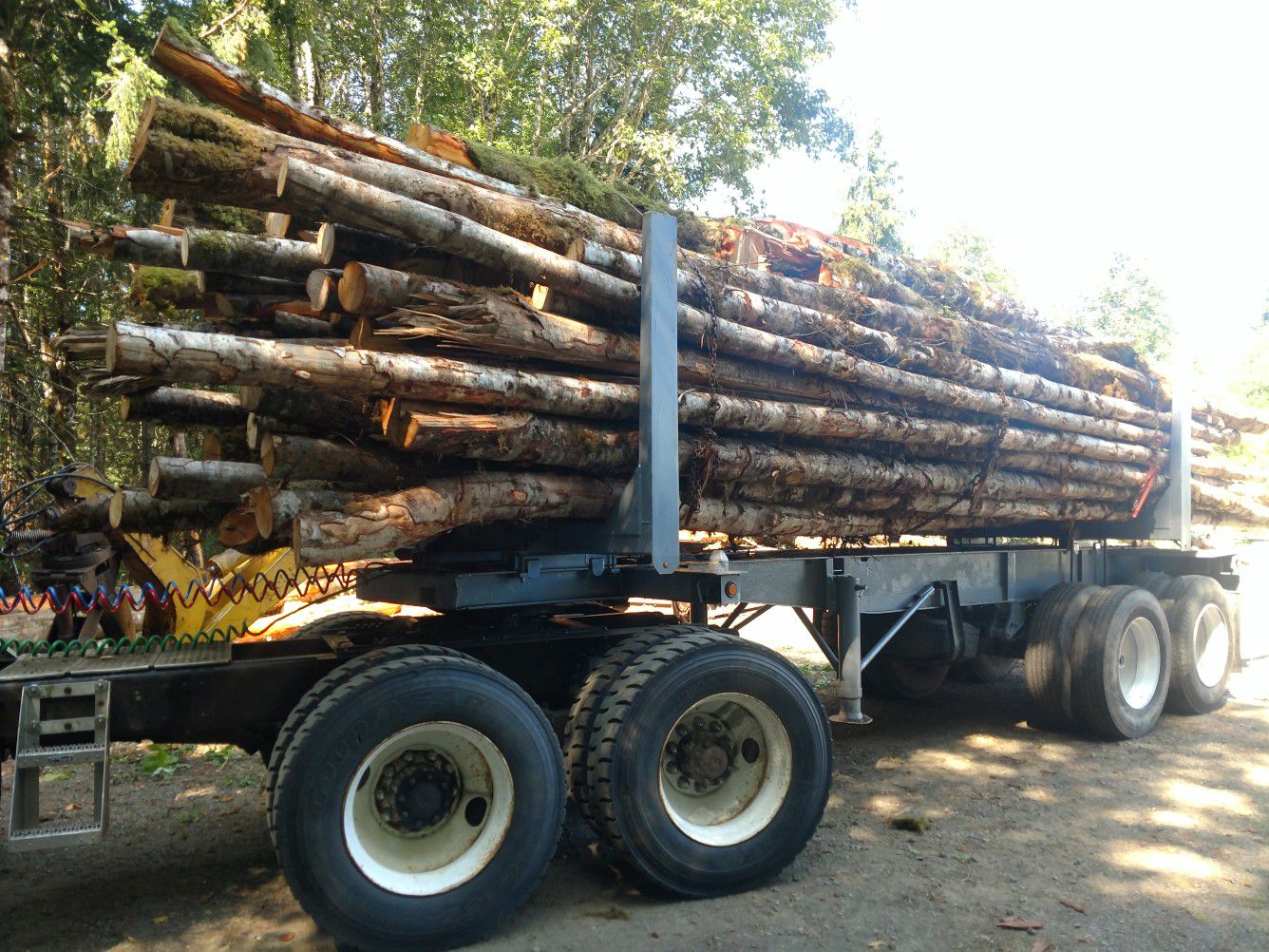 5-6 cord alder firewood $650 delivered