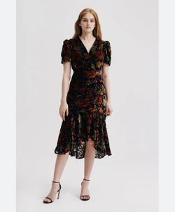 NWT Milly Gynn Velvet Floral Burnout Dress (6)