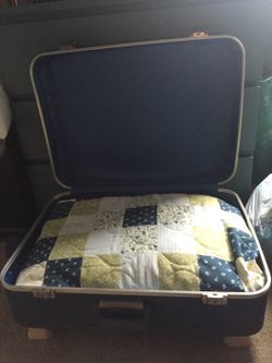 Vintage suitcase dog bed