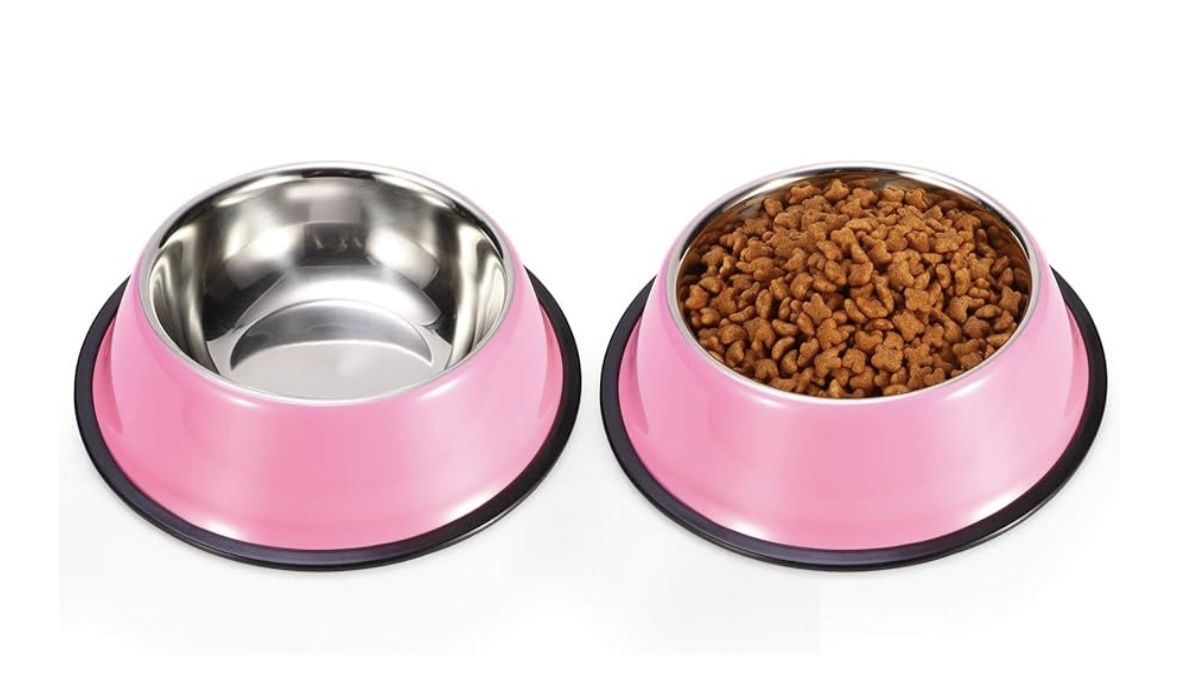Small Pet Bowls
