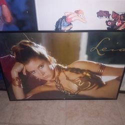 Princess Leia Framed Poster Star Wars