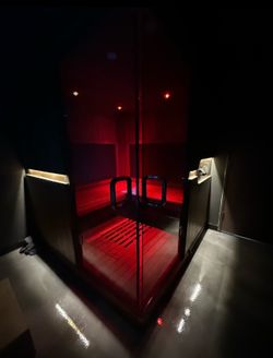 Sunlighten mPulse Discover Infrared Sauna