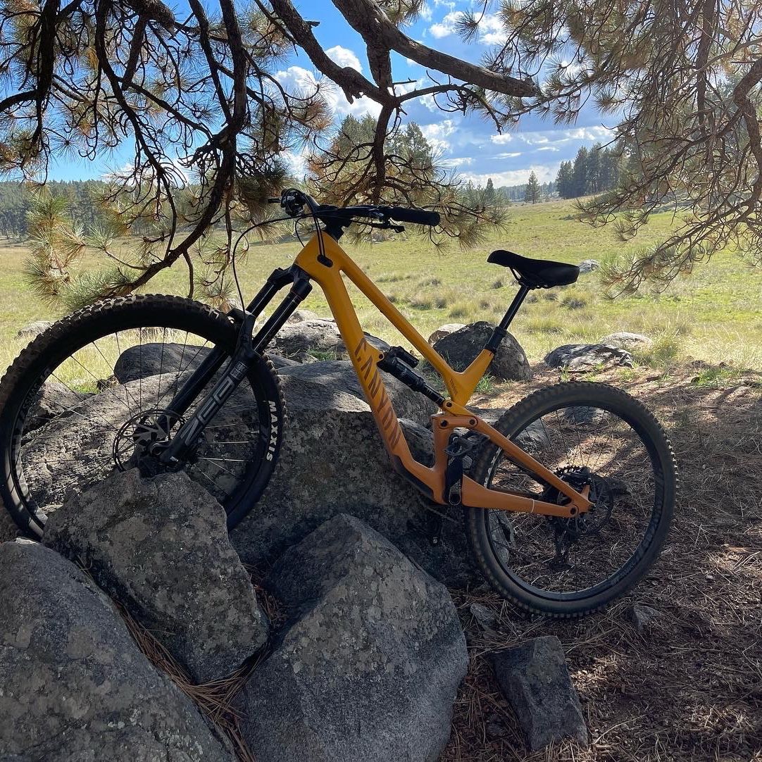 Canyon Torque Mountain Bike for Sale in San Diego, CA - OfferUp