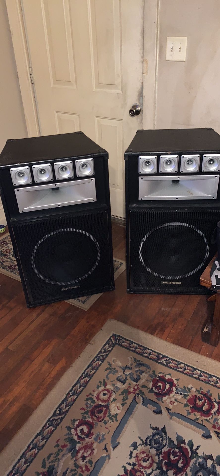 Pro studio 15 inch speakers