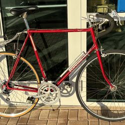 Schwinn World Sport 27”Wheel Road Bike VINTAGE 1980's Model TALL