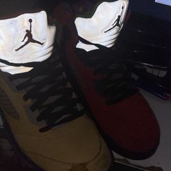 Jordan What The 5s